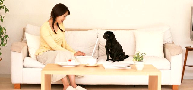 教育におけるWEBサービスの進化